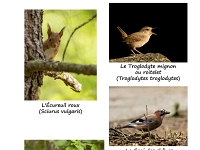 PA Leresche Au jardin A4 Version 3