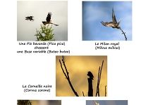 PA Leresche Au jardin A4 Version 2