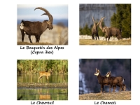 PA Leresche En Suisse Romande Version 1