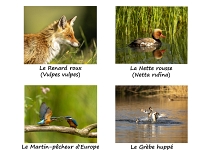 PA Leresche En Suisse Romande Version 2