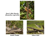 PA Leresche Monde Version 1